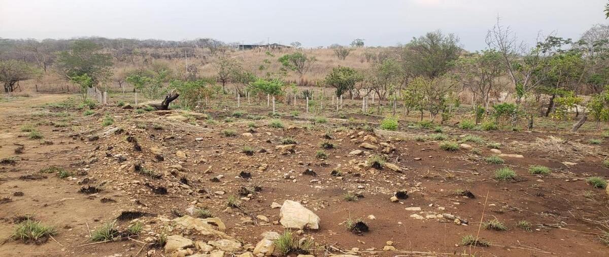 Foto de terreno habitacional en venta en copoya , copoya, tuxtla gutiérrez, chiapas, 28872880 No. 05