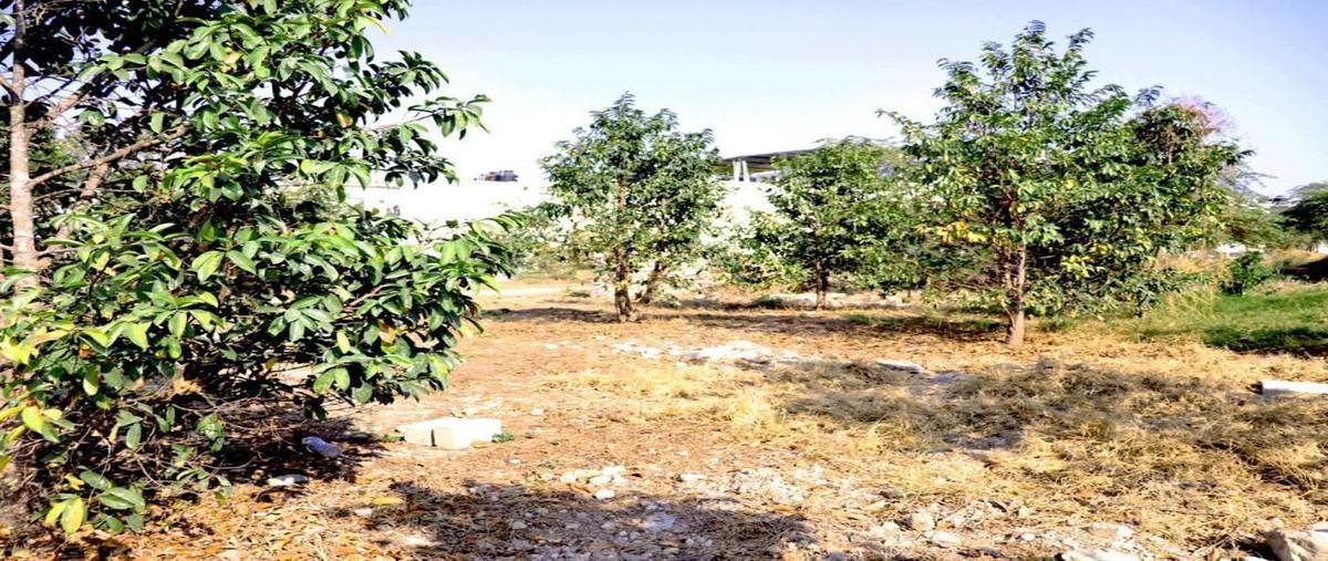 Foto de terreno habitacional en venta en  , copoya, tuxtla gutiérrez, chiapas, 22257434 No. 04