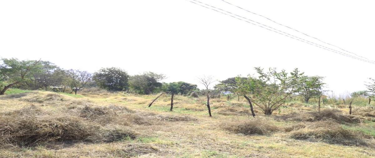 Foto de terreno habitacional en venta en  , copoya, tuxtla gutiérrez, chiapas, 22257434 No. 05