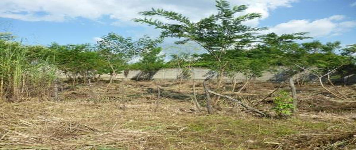 Foto de terreno habitacional en venta en copoya whi274883, copoya, tuxtla gutiérrez, chiapas, 23798172 No. 04