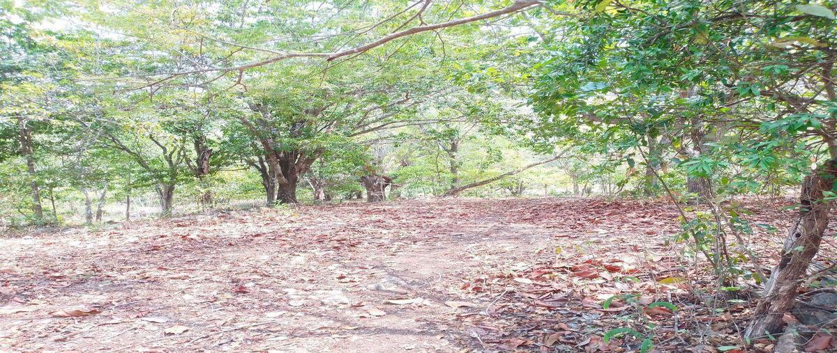 Foto de terreno habitacional en venta en  , coquelequixtlan, tuxtla gutiérrez, chiapas, 0 No. 03