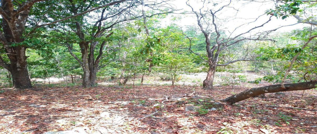 Foto de terreno habitacional en venta en  , coquelequixtlan, tuxtla gutiérrez, chiapas, 0 No. 05