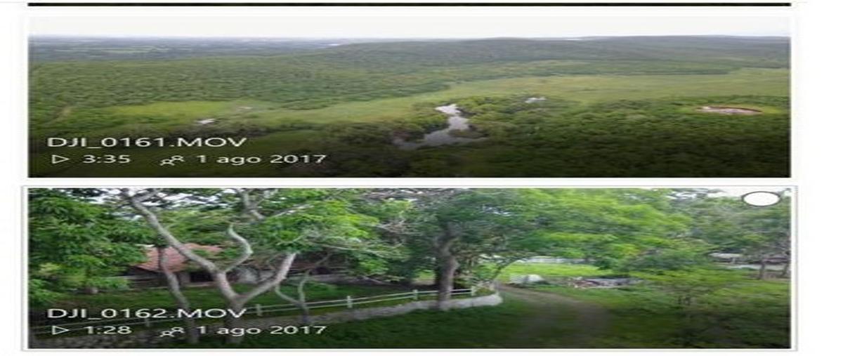 Foto de terreno habitacional en coquimatlan, , coquimatlán, coquimatlán, colima, 0 foto 02 Foto de terreno habitacional en venta en coquimatlan, , coquimatlán, coquimatlán, colima, 0 No. 02