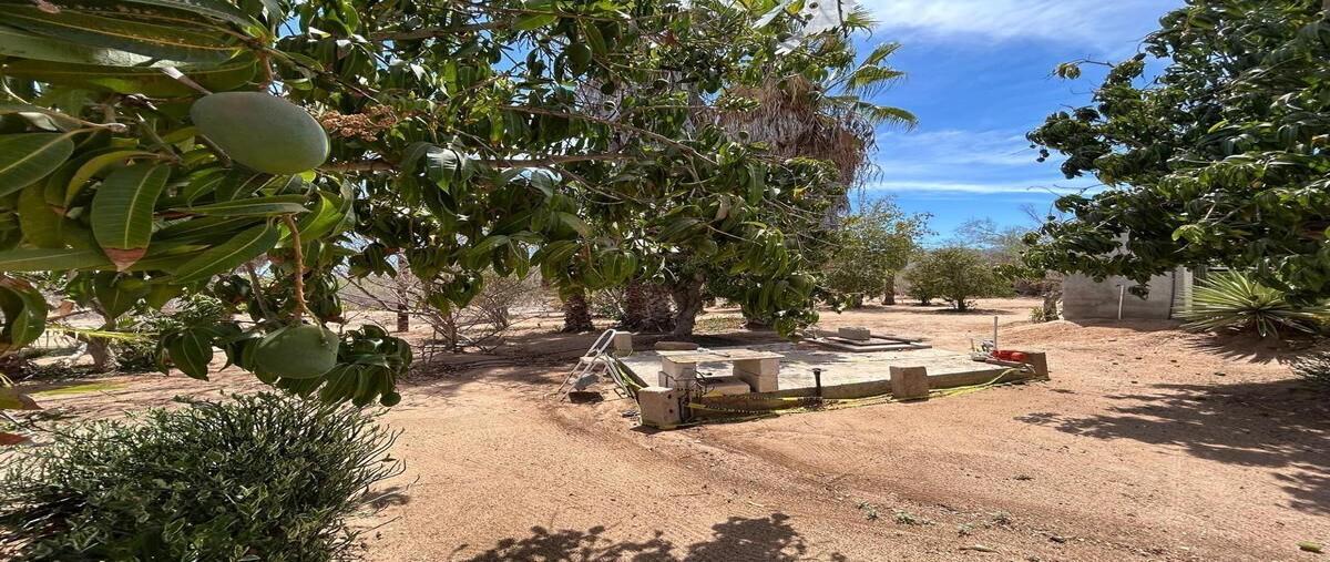 Foto de terreno habitacional en venta en coras , san pedro, la paz, baja california sur, 30159466 No. 03