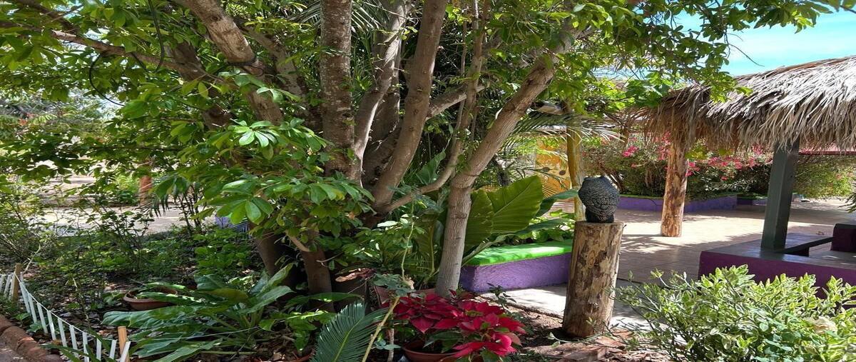 Foto de terreno habitacional en venta en coras , san pedro, la paz, baja california sur, 30159466 No. 04