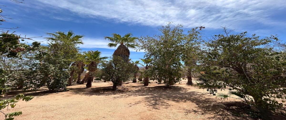 Foto de terreno habitacional en venta en coras , san pedro, la paz, baja california sur, 30159466 No. 05