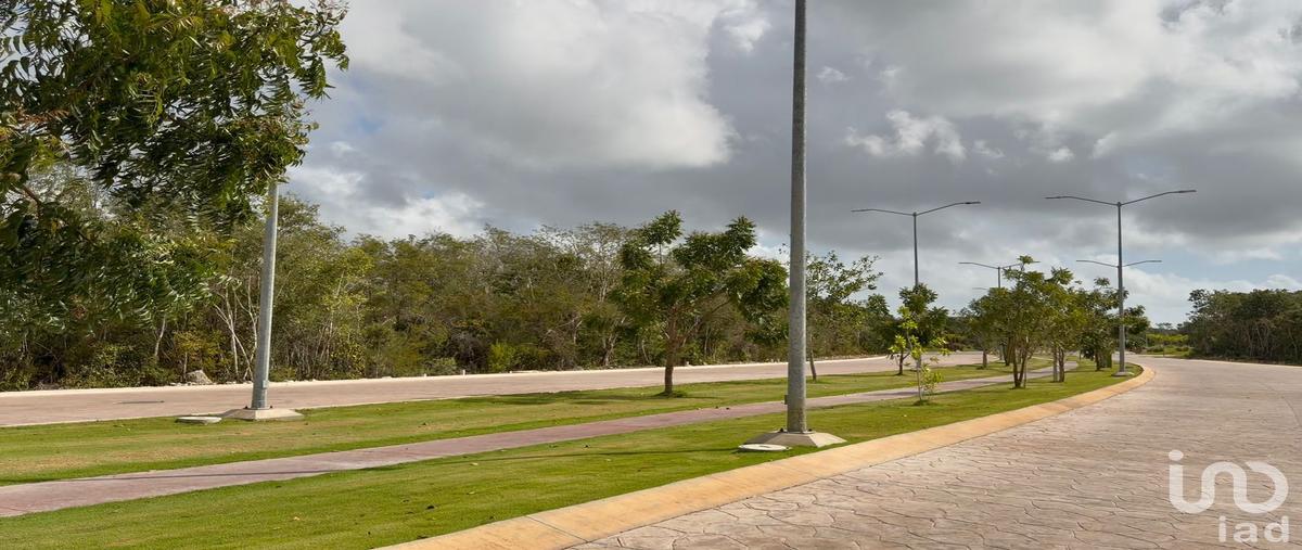 Foto de terreno habitacional en venta en cordillera de los andes 128, alfredo v bonfil, benito juárez, quintana roo, 31050263 No. 04