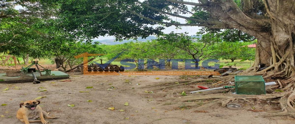 Foto de terreno habitacional en , coronado, gutiérrez zamora, veracruz de ignacio de la llave, 26310323 foto 03 Foto de terreno habitacional en venta en , coronado, gutiérrez zamora, veracruz de ignacio de la llave, 26310323 No. 03