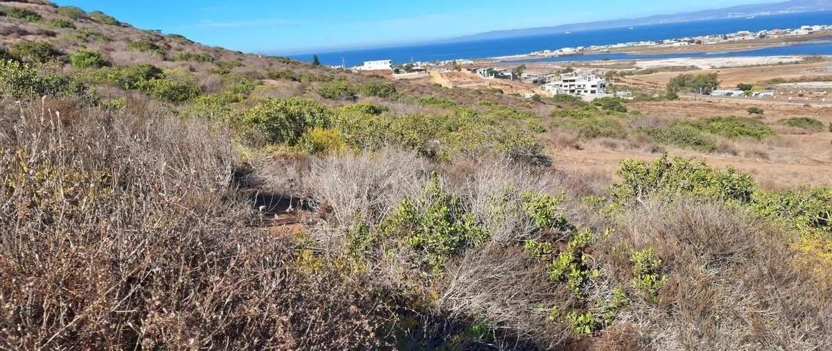 Foto de terreno habitacional en venta en  , coronel estéban cantú, ensenada, baja california, 0 No. 04