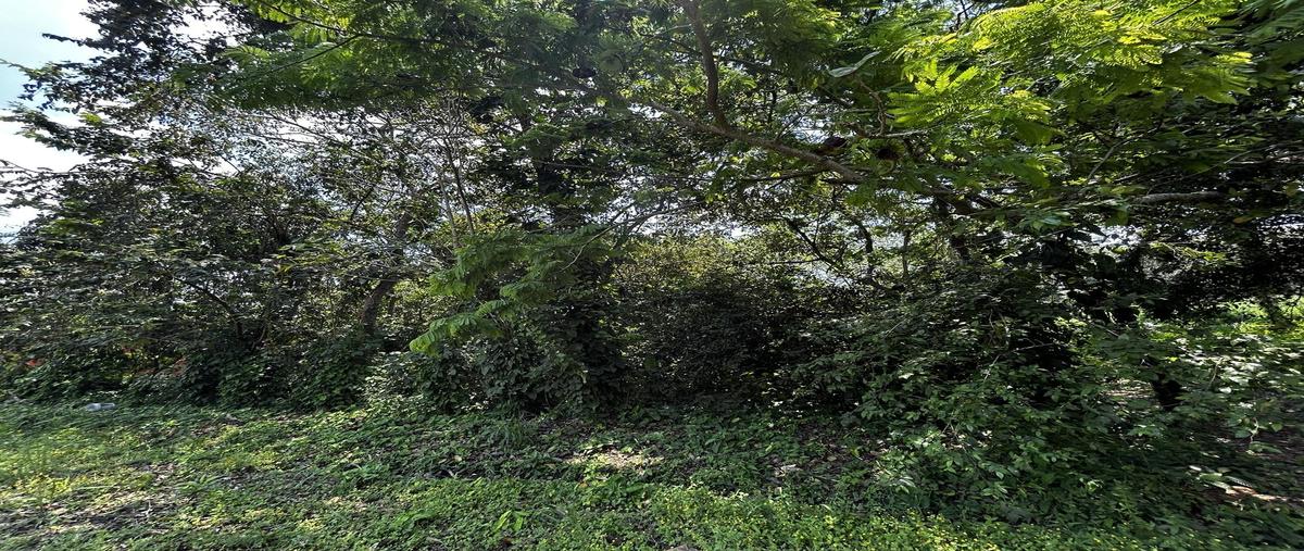 Foto de terreno habitacional en venta en  , coronel traconis 3a (guerrero), centro, tabasco, 0 No. 05