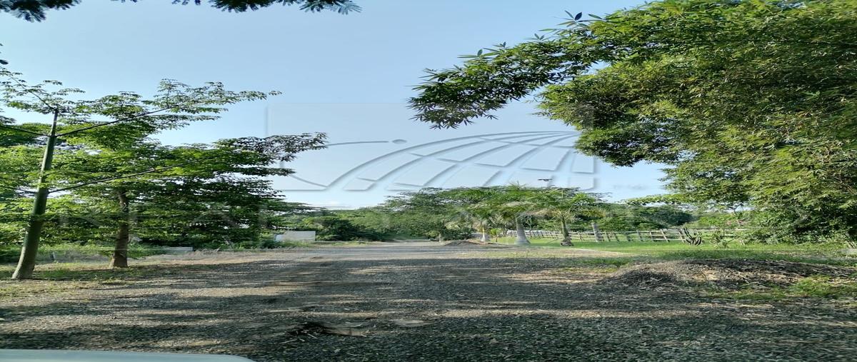 Foto de rancho en , coronel traconis (guerrero 3ra. sección), centro, tabasco, 0 foto 04 Foto de rancho en venta en , coronel traconis (guerrero 3ra. sección), centro, tabasco, 0 No. 04