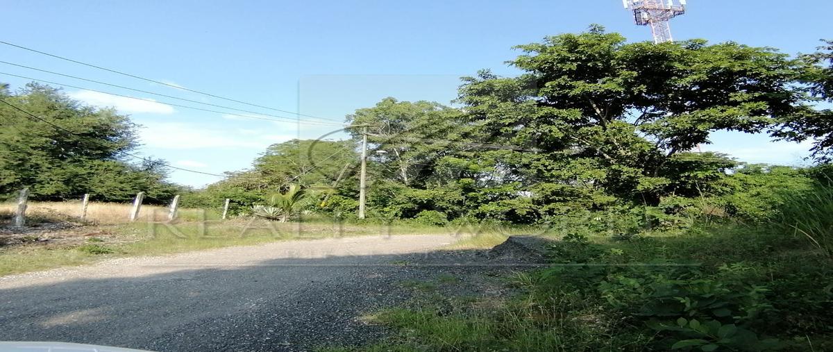 Foto de rancho en , coronel traconis (guerrero 3ra. sección), centro, tabasco, 0 foto 05 Foto de rancho en venta en , coronel traconis (guerrero 3ra. sección), centro, tabasco, 0 No. 05