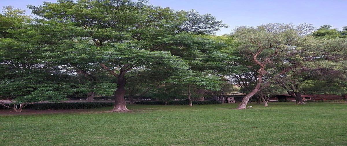 Foto de rancho en venta en . , coroneo, coroneo, guanajuato, 0 No. 03