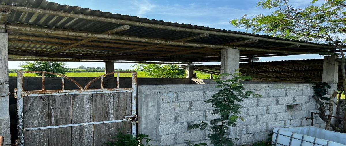 Foto de terreno habitacional en venta en  , corozal, tempoal, veracruz de ignacio de la llave, 0 No. 05