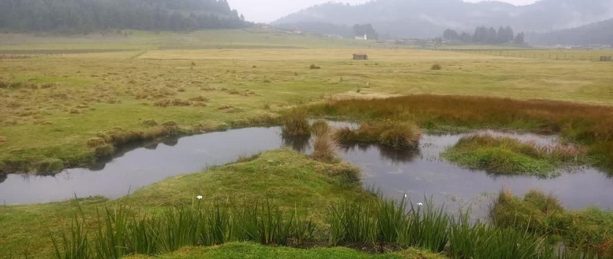 Foto de terreno habitacional en venta en corral de piedra , amanalco de becerra, amanalco, méxico, 27954651 No. 03