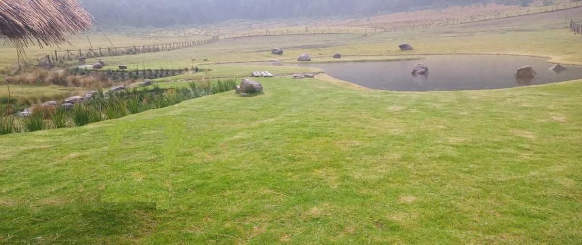 Foto de terreno habitacional en venta en corral de piedra , amanalco de becerra, amanalco, méxico, 27954651 No. 04