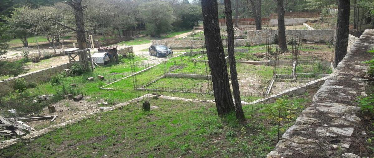 Foto de terreno habitacional en venta en corral de piedra , corral de piedra, san cristóbal de las casas, chiapas, 24717603 No. 03