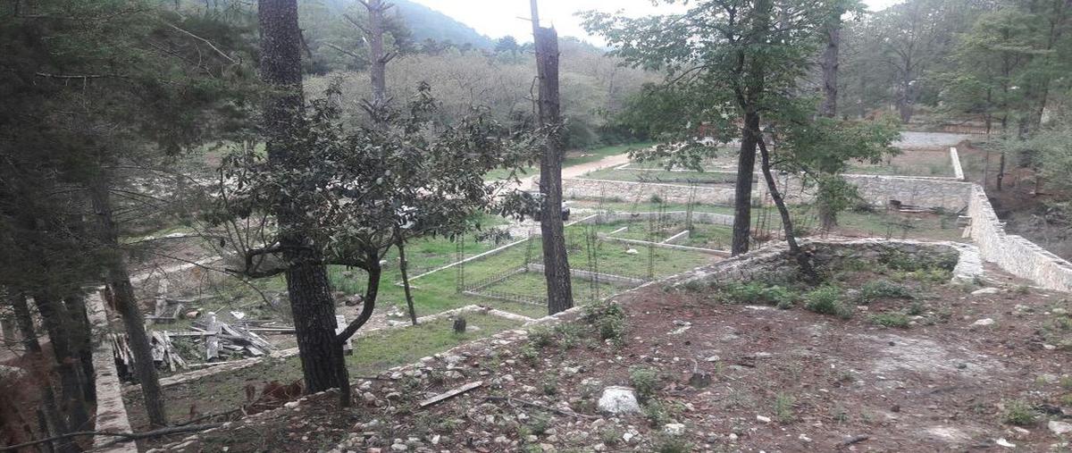 Foto de terreno habitacional en venta en corral de piedra , corral de piedra, san cristóbal de las casas, chiapas, 24717603 No. 04