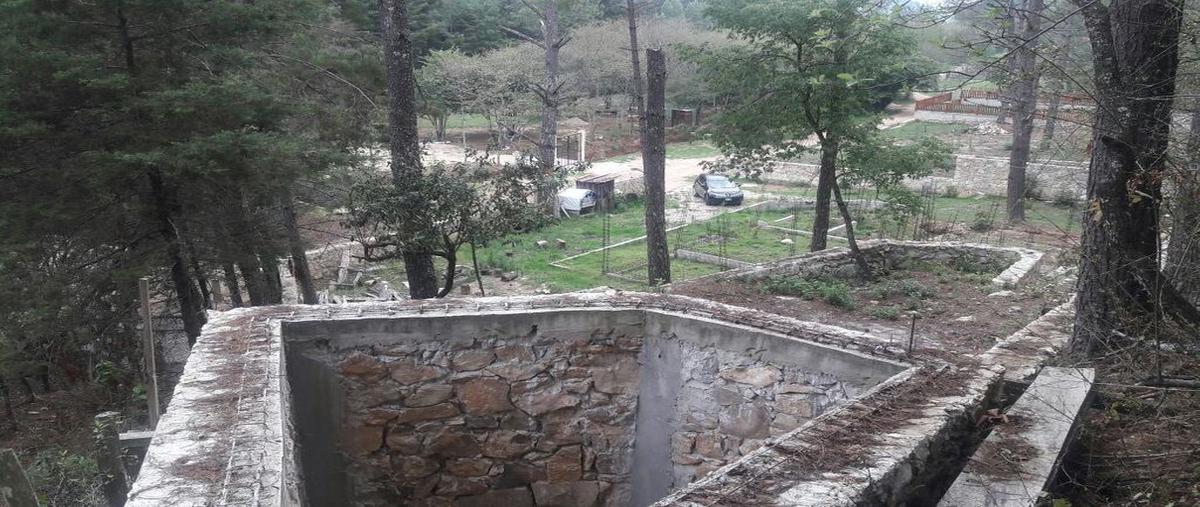 Foto de terreno habitacional en venta en corral de piedra , corral de piedra, san cristóbal de las casas, chiapas, 24717603 No. 05