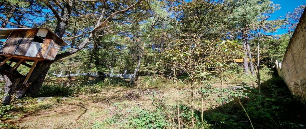 Foto de terreno habitacional en venta en  , corral de piedra, san cristóbal de las casas, chiapas, 30735725 No. 03