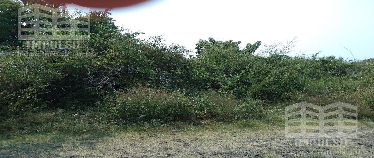 Foto de terreno habitacional en venta en  , corral grande, yautepec, morelos, 0 No. 04