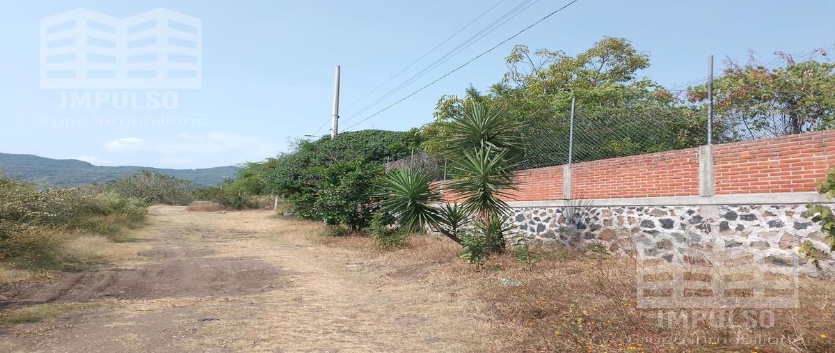 Foto de terreno habitacional en venta en  , corral grande, yautepec, morelos, 0 No. 05