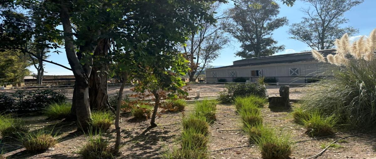 Foto de terreno habitacional en venta en  , corralejo de arriba, san miguel de allende, guanajuato, 0 No. 04