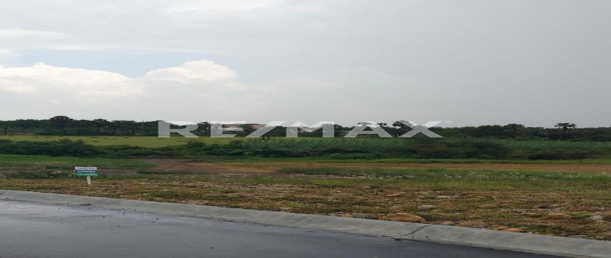 Foto de terreno habitacional en corredor cadereyta-allende kilometro 8 , cadereyta jimenez centro, cadereyta jiménez, nuevo león, 0 foto 01 Foto de terreno habitacional en venta en corredor cadereyta-allende kilometro 8 , cadereyta jimenez centro, cadereyta jiménez, nuevo león, 0 No. 01