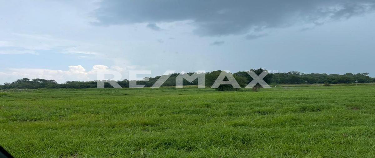 Foto de terreno habitacional en corredor cadereyta-allende kilometro 8 , cadereyta jimenez centro, cadereyta jiménez, nuevo león, 0 foto 05 Foto de terreno habitacional en venta en corredor cadereyta-allende kilometro 8 , cadereyta jimenez centro, cadereyta jiménez, nuevo león, 0 No. 05