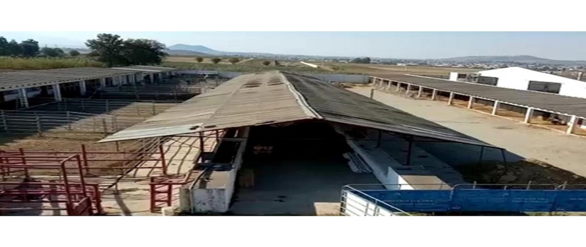 Foto de terreno habitacional en venta en  , corredor empresarial boulevard atlixco, puebla, puebla, 0 No. 03