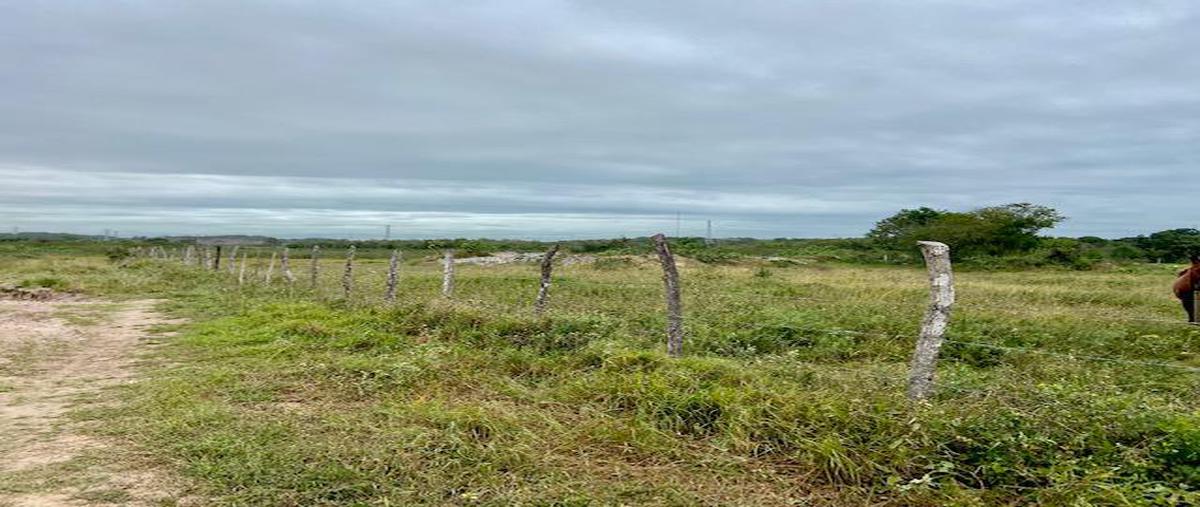 Foto de terreno habitacional en , corredor industrial, altamira, tamaulipas, 11699674 foto 02 Foto de terreno habitacional en venta en , corredor industrial, altamira, tamaulipas, 11699674 No. 02