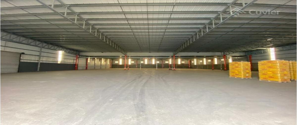 Foto de bodega en renta en  , corredor industrial, altamira, tamaulipas, 18751345 No. 05