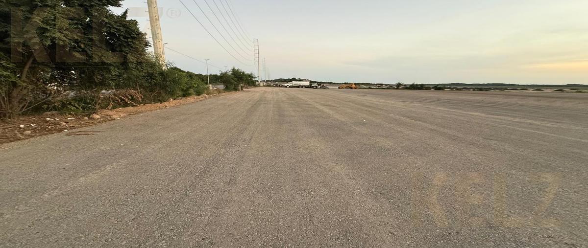 Foto de terreno habitacional en renta en  , corredor industrial, altamira, tamaulipas, 20938641 No. 04