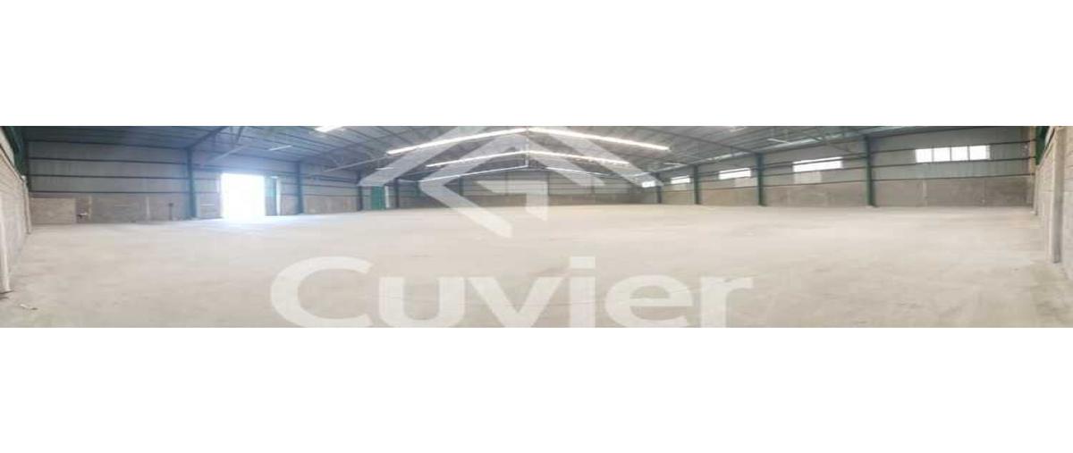 Foto de bodega en renta en  , corredor industrial, altamira, tamaulipas, 0 No. 03