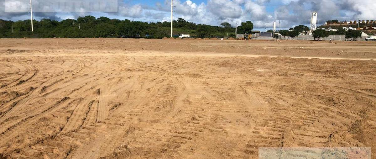Foto de terreno habitacional en renta en  , corredor industrial, altamira, tamaulipas, 9736558 No. 01