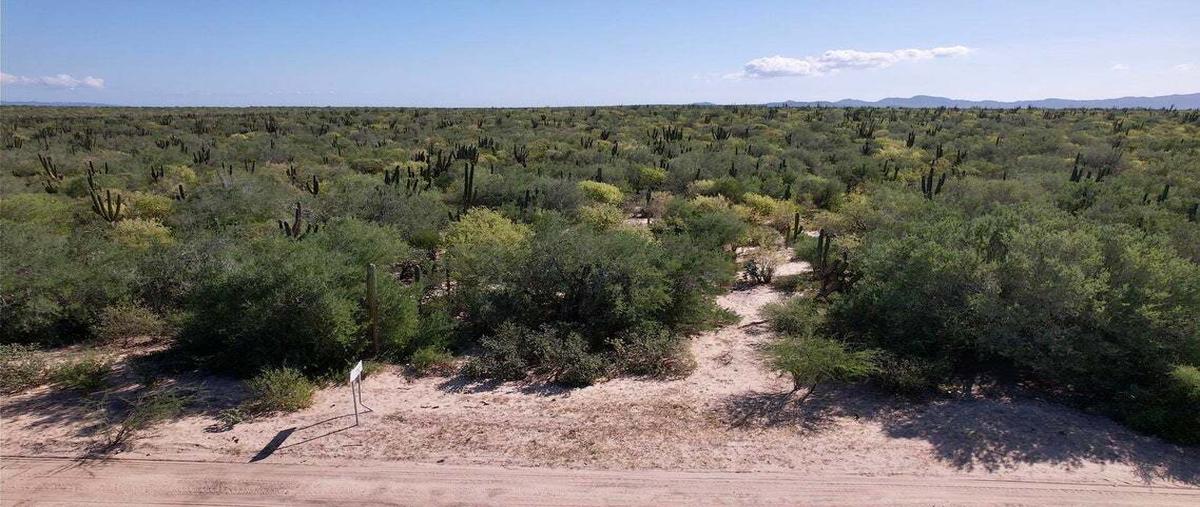 Foto de terreno habitacional en venta en corredor isla cerralvo , el sargento, la paz, baja california sur, 0 No. 03