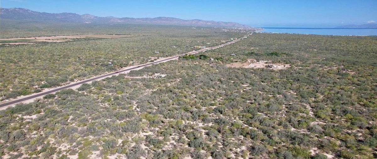 Foto de terreno habitacional en venta en corredor isla cerralvo , el sargento, la paz, baja california sur, 0 No. 06