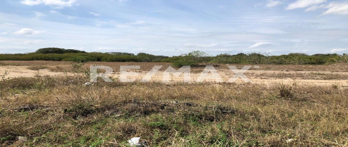 Foto de terreno comercial en corredor urbando luis donaldo colosio , corredor industrial, altamira, tamaulipas, 28174250 foto 02 Foto de terreno comercial en renta en corredor urbando luis donaldo colosio , corredor industrial, altamira, tamaulipas, 28174250 No. 02