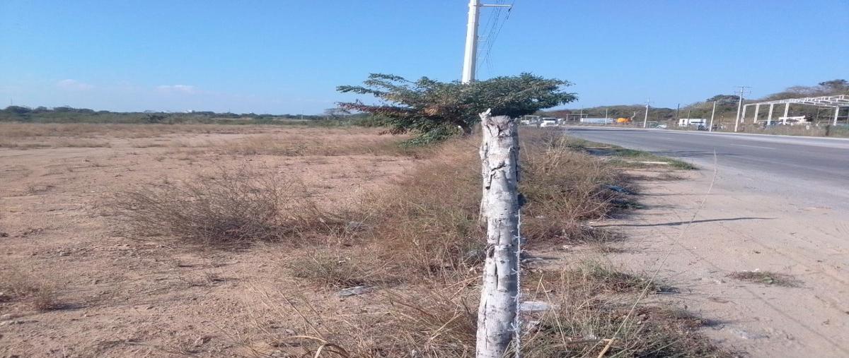 Foto de terreno comercial en renta en corredor urbano luis donaldo colosio , la pedrera, altamira, tamaulipas, 0 No. 01