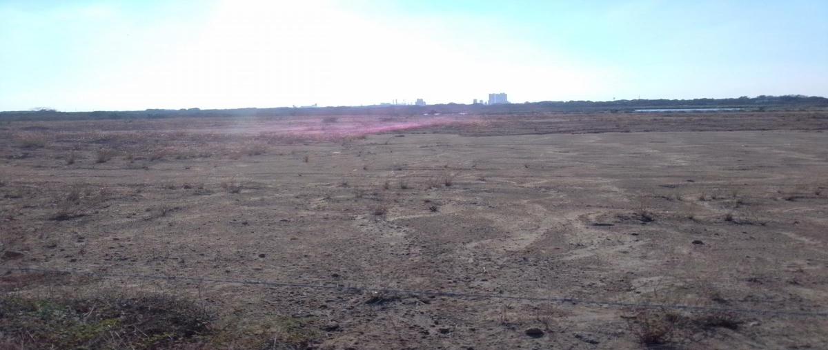 Foto de terreno comercial en renta en corredor urbano luis donaldo colosio , la pedrera, altamira, tamaulipas, 0 No. 03