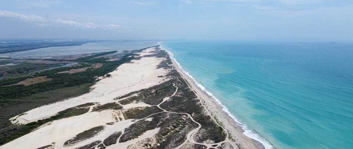 Foto de terreno comercial en venta en corredor urbano luis donaldo colosio , miramar, altamira, tamaulipas, 26413634 No. 03