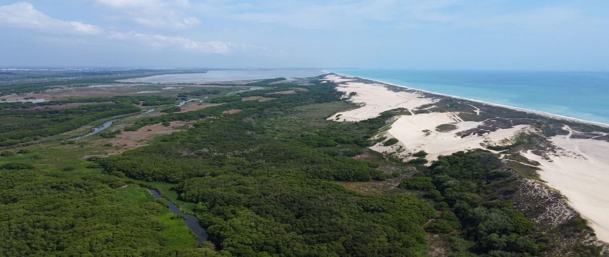 Foto de terreno comercial en venta en corredor urbano luis donaldo colosio , miramar, altamira, tamaulipas, 26413634 No. 05