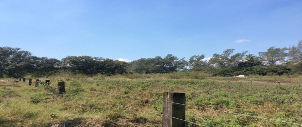 Foto de terreno habitacional en corredor urbano , miramar, ciudad madero, tamaulipas, 2421107 foto 01 Foto de terreno habitacional en renta en corredor urbano , miramar, ciudad madero, tamaulipas, 2421107 No. 01