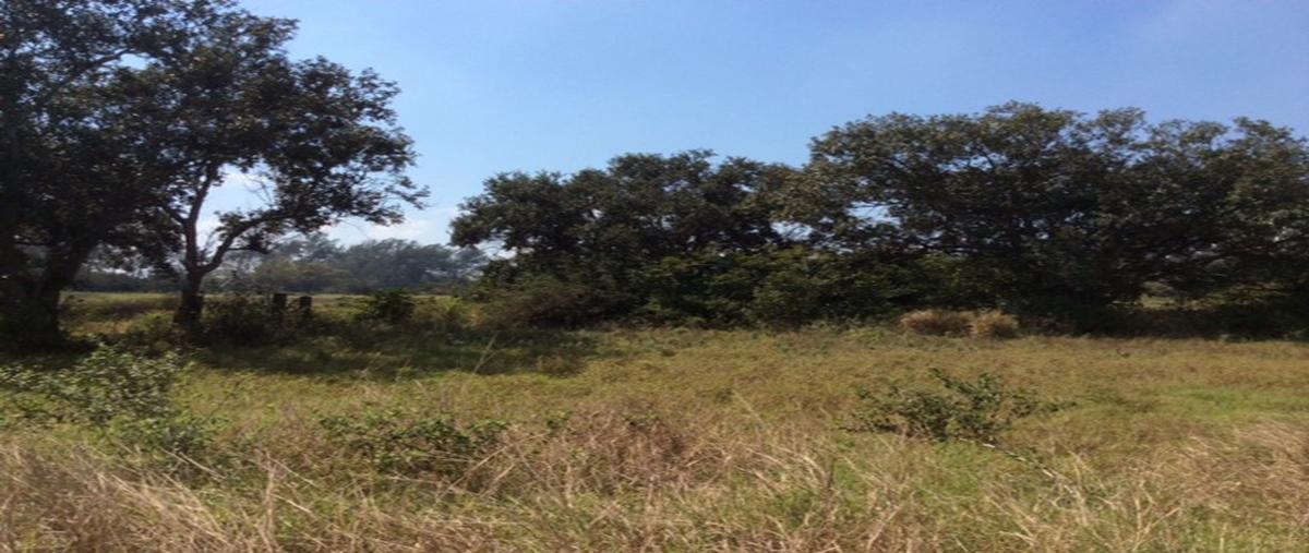 Foto de terreno habitacional en corredor urbano , miramar, ciudad madero, tamaulipas, 2421107 foto 02 Foto de terreno habitacional en renta en corredor urbano , miramar, ciudad madero, tamaulipas, 2421107 No. 02