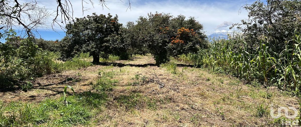 Foto de terreno habitacional en venta en corregidora 73, la joya de santiago mextla, huejotzingo, puebla, 31668916 No. 04
