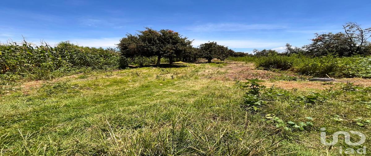 Foto de terreno habitacional en venta en corregidora 73, la joya de santiago mextla, huejotzingo, puebla, 31668916 No. 05