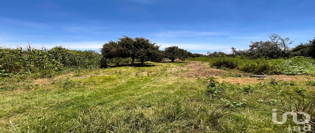 Foto de terreno habitacional en venta en corregidora 99, la joya de santiago mextla, huejotzingo, puebla, 31668916 No. 03