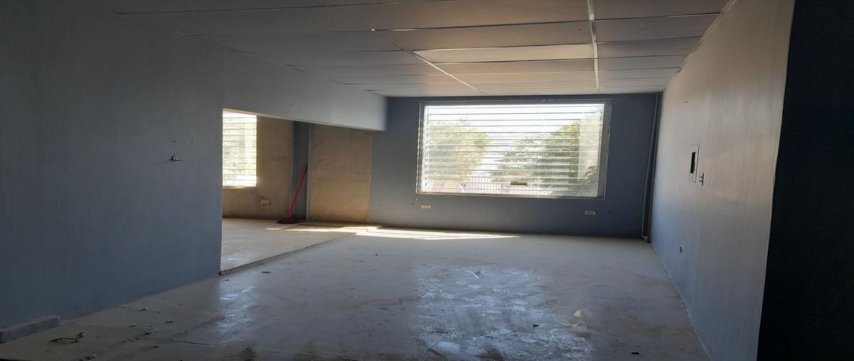 Foto de nave industrial en renta en corregidora , aldrete, tecate, baja california, 0 No. 05