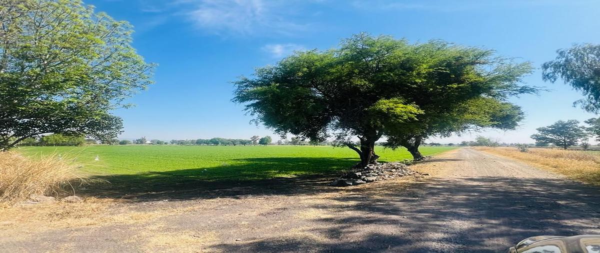 Foto de terreno comercial en venta en corregidora , caleras de ameche, apaseo el grande, guanajuato, 27804003 No. 03