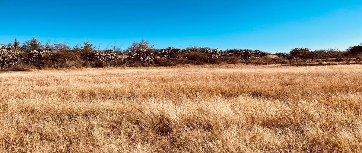 Foto de terreno habitacional en venta en  , corregidora, querétaro, querétaro, 27322976 No. 03